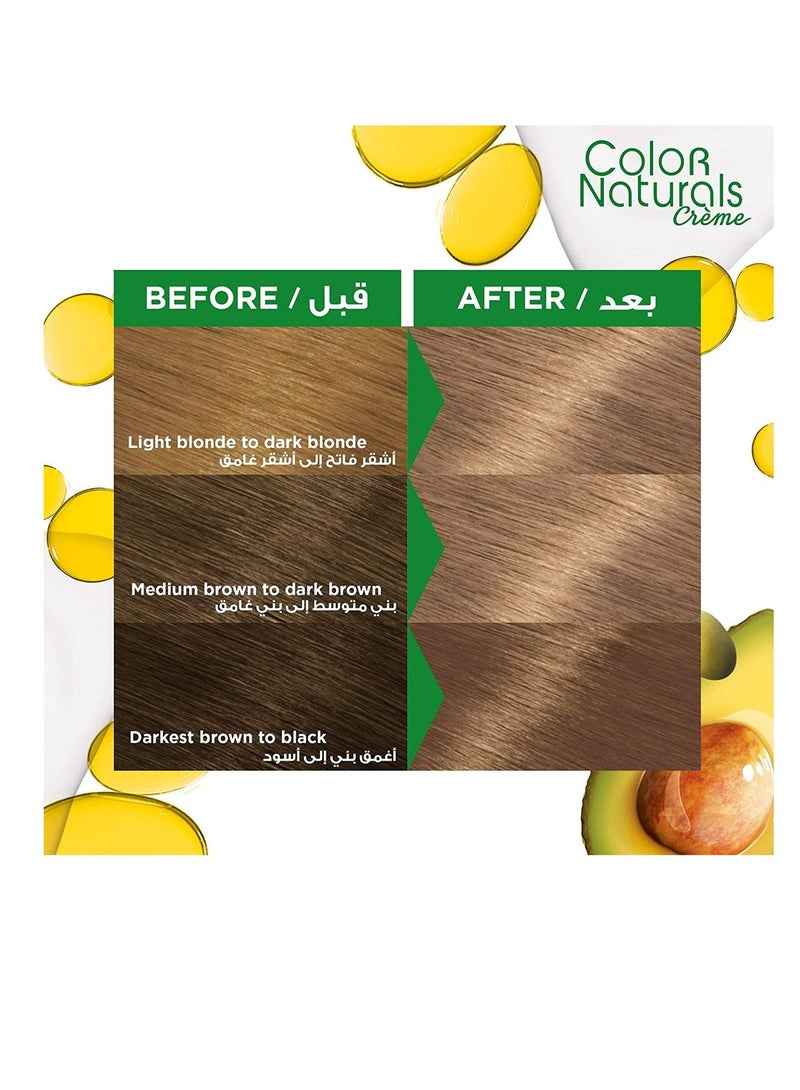 garnier Color Naturals 8.11 Deep Ashy Light Blonde Hair Color 112ml - Image 4